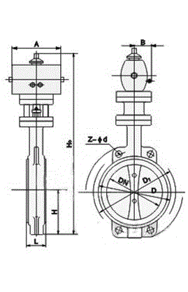 D941F系列襯氟電動(dòng)蝶閥示意圖